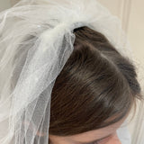 Diamanté & Thread Trim Veil - Off-White & White