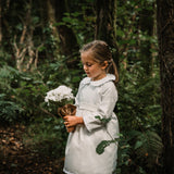 Anoushka Occasion Wear Dress - Winter White